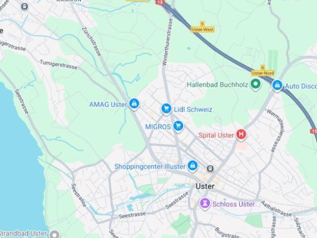 Wohnung kaufen in Uster, Zürich