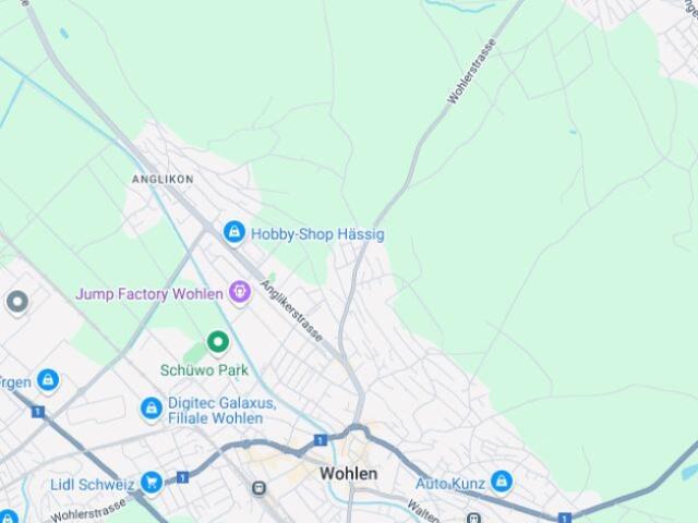 Wohnung kaufen in Wohlen (AG), Aargau