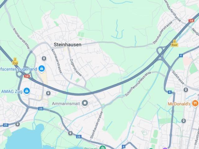 Wohnung kaufen in Steinhausen, Zug