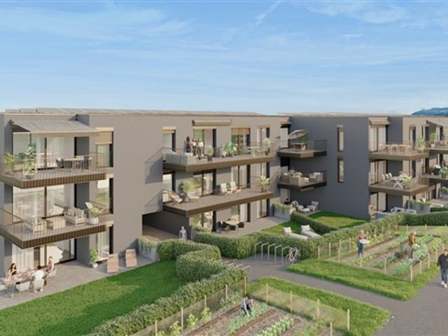 Wohnung kaufen in Ependes (FR), Freiburg