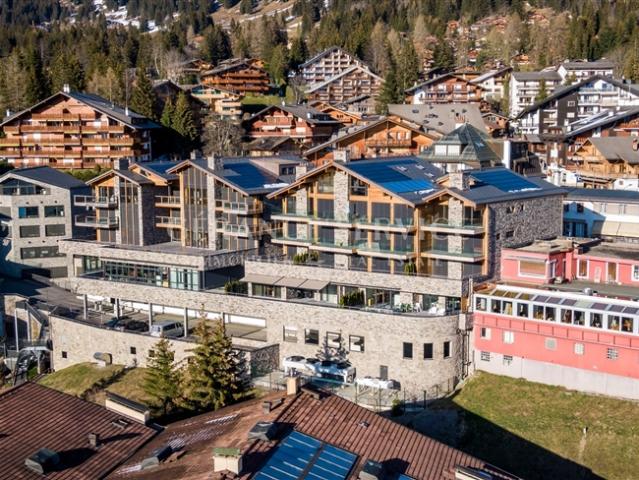 Wohnung kaufen in Ollon (VS), Waadt