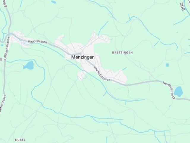 Etagenwohnung kaufen in Menzingen