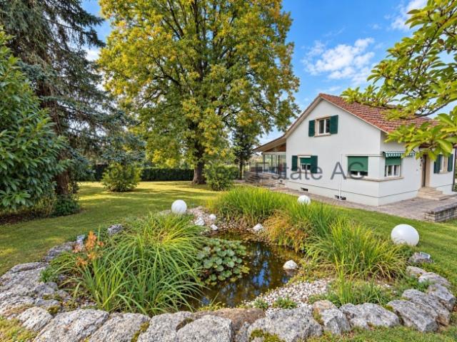 Einfamilienhaus kaufen in Metzerlen-Mariastein, Amtei Dorneck-Thierstein