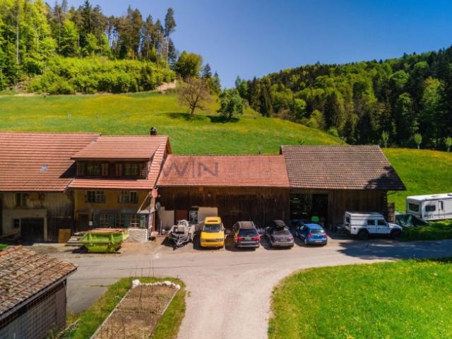 Einfamilienhaus kaufen in Wila, Zürich