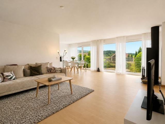 Apartment mieten in Forch, Küsnacht (ZH)