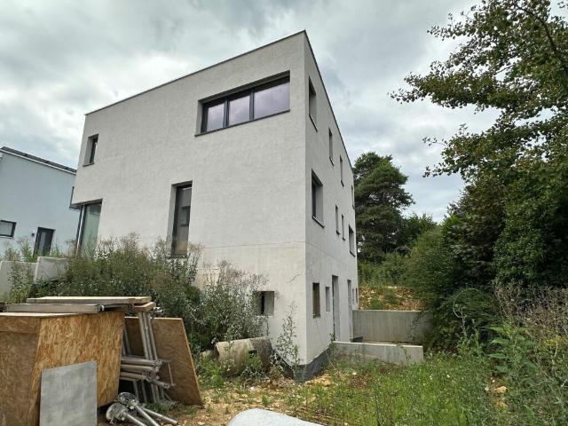Einfamilienhaus kaufen in Seltisberg