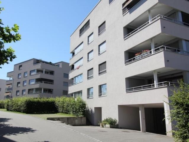 Attikawohnung mieten in Aarburg
