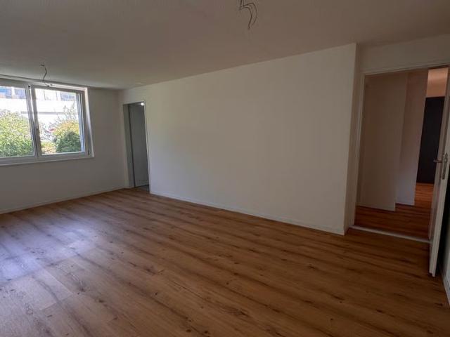 Apartment mieten in Elgg, Bezirk Winterthur