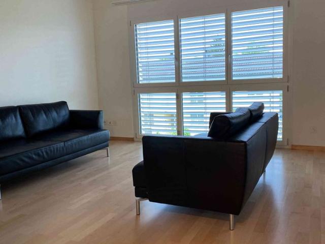 Apartment mieten in Menziken, Aargau