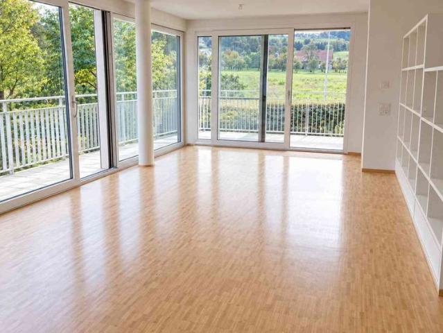 Apartment mieten in Horgen, Bezirk Horgen