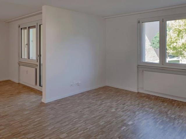 Apartment mieten in Waser, Winterthur