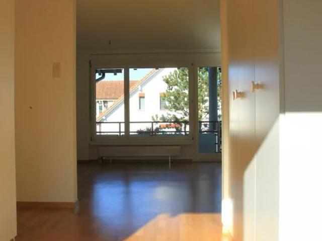 Apartment mieten in Henggart, Zürich
