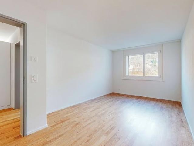 Apartment mieten in Widen, Bezirk Bremgarten