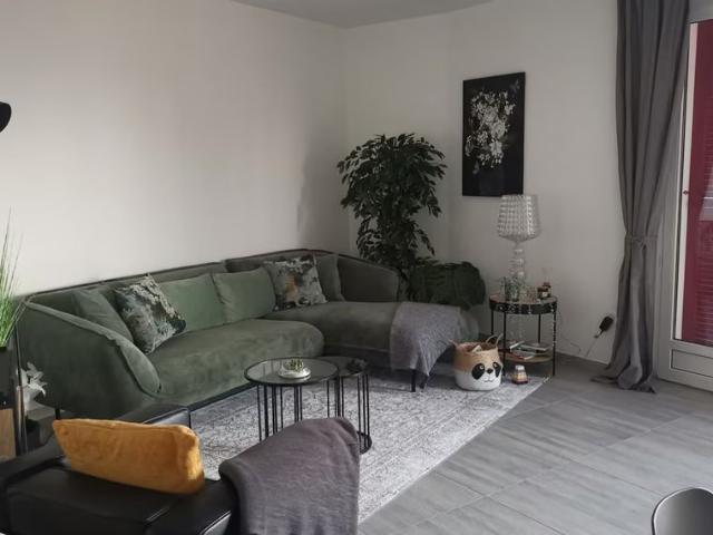 Apartment mieten in Orselina, Distretto di Locarno