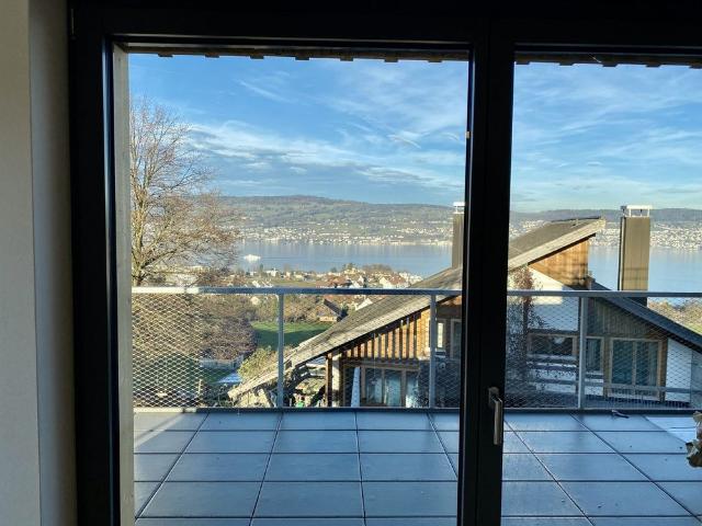 Apartment mieten in Wädenswil, Zürich