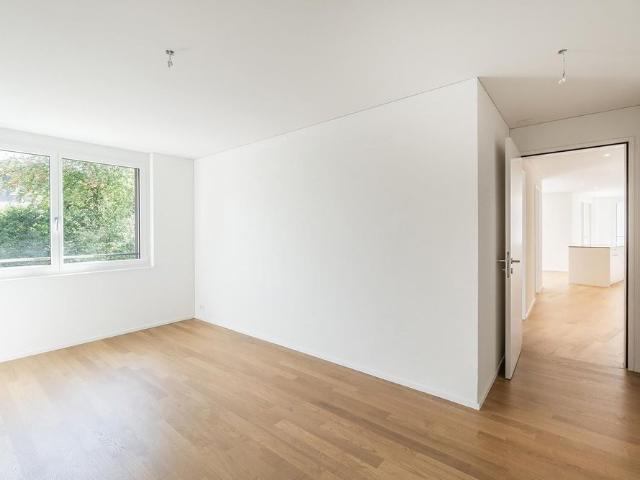 Apartment mieten in Hendschiken, Aargau