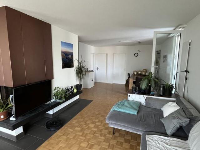 Apartment mieten in Steinmaur, Zürich