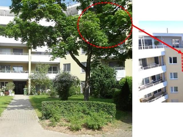 Apartment mieten in Wettingen, Aargau