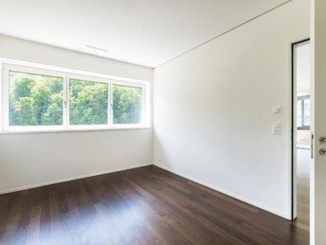 Apartment mieten in Baden, Aargau
