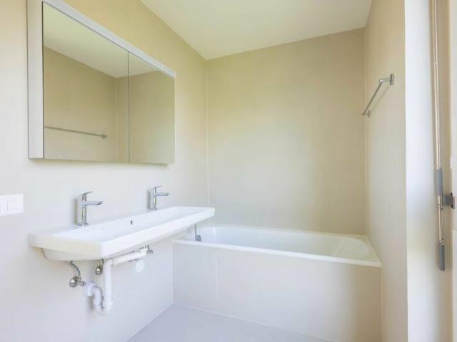 Apartment mieten in Reinach (BL), Basel-Landschaft