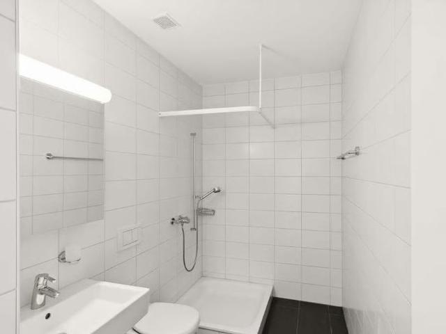 Apartment mieten in Winterthur, Zürich