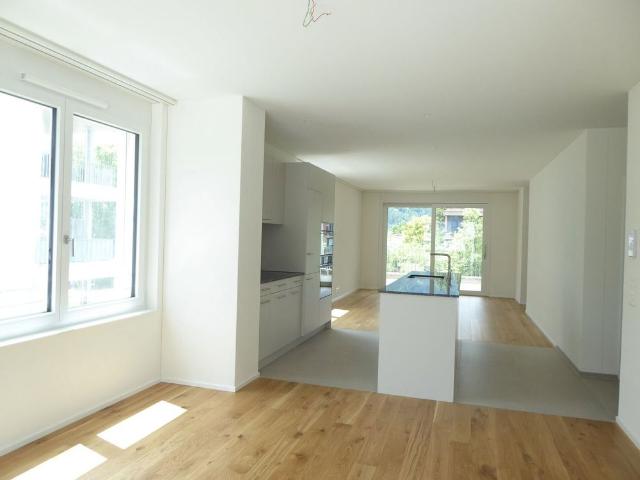 Apartment mieten in Buchs (SG), Wahlkreis Werdenberg