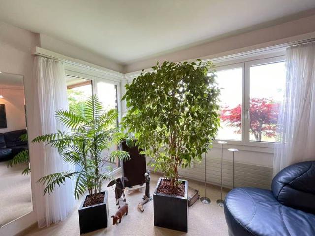 Apartment mieten in Meilen, Zürich