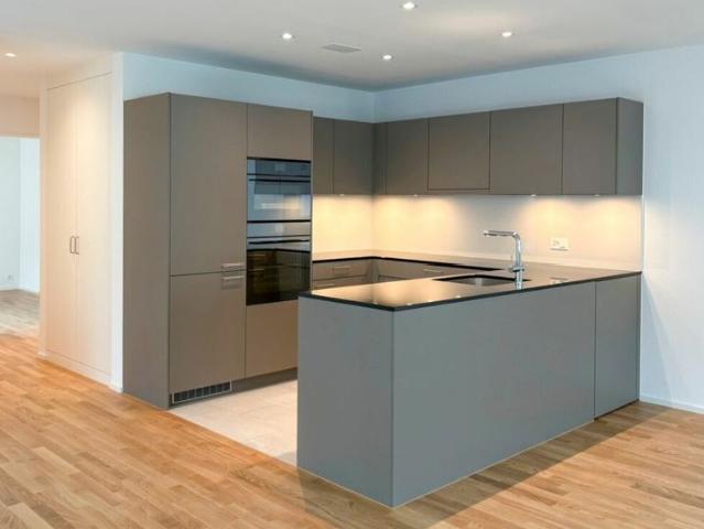 Apartment mieten in Siebnen, Schübelbach