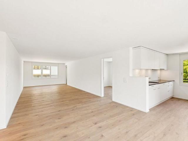 Apartment mieten in Niederdorf, Basel-Landschaft