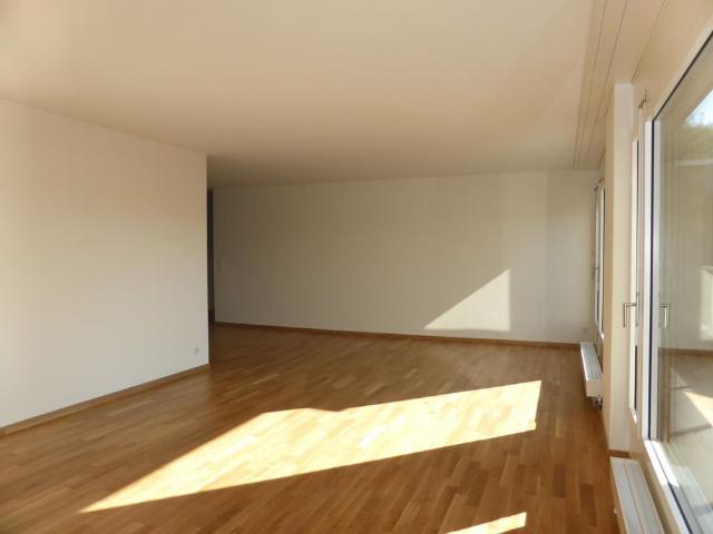 Apartment mieten in Olten, Solothurn