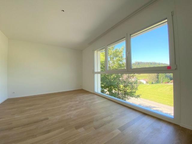 Apartment mieten in Nunningen, Solothurn
