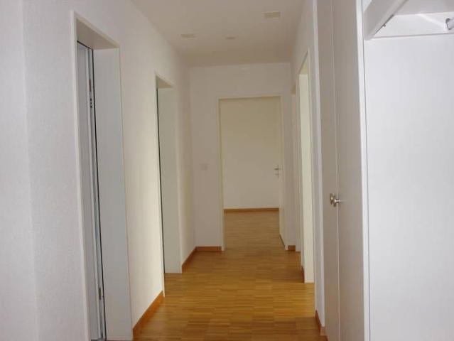 Apartment mieten in Pfäffikon (SZ), Zürich