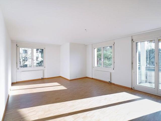Apartment mieten in Aesch (BL), Basel-Landschaft