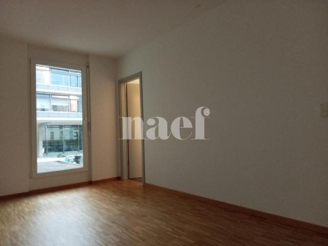 Apartment mieten in Neuchâtel, Corcelles (NE)