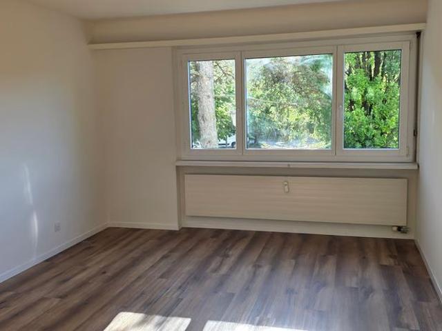 Apartment mieten in Reinach (BL), Basel-Landschaft