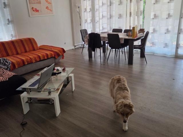 Apartment mieten in Terre di Pedemonte, Tessin