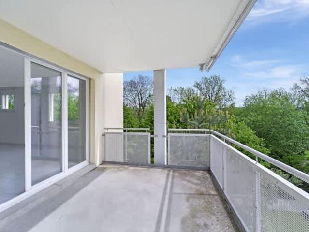 Apartment mieten in Wil (SG), St. Gallen