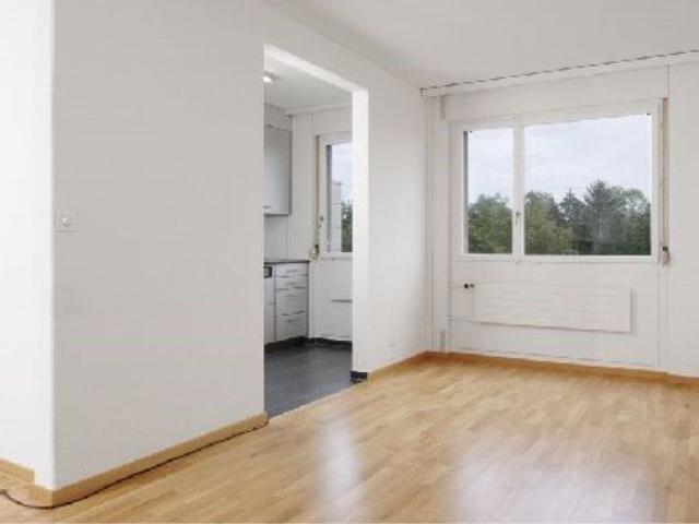 Apartment mieten in Sandacher, Greifensee