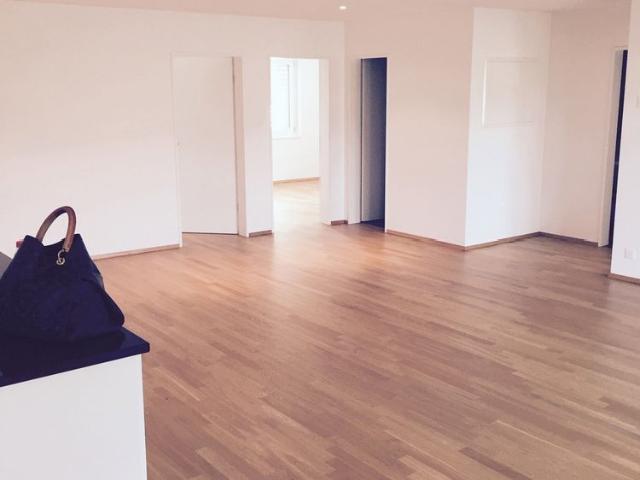 Apartment mieten in Wettswil, Zürich