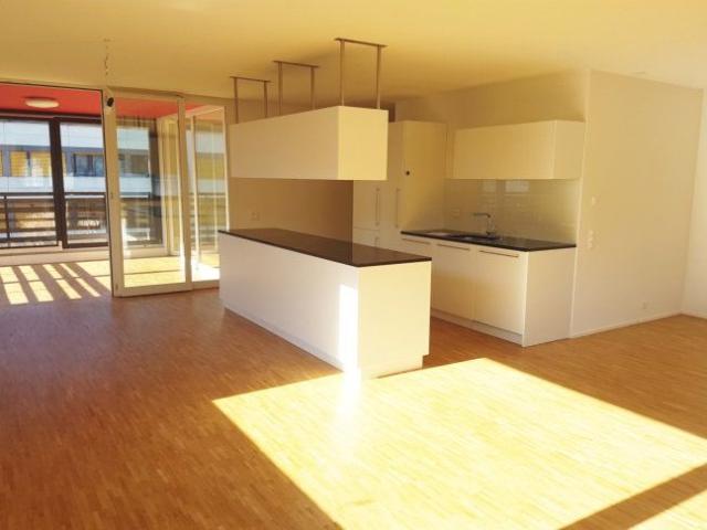 Apartment mieten in Reinach (BL), Basel-Landschaft