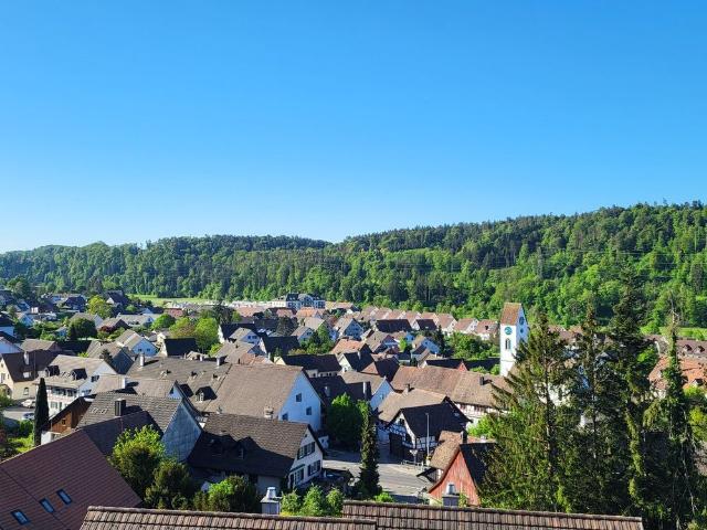 Apartment mieten in Glattfelden, Zürich