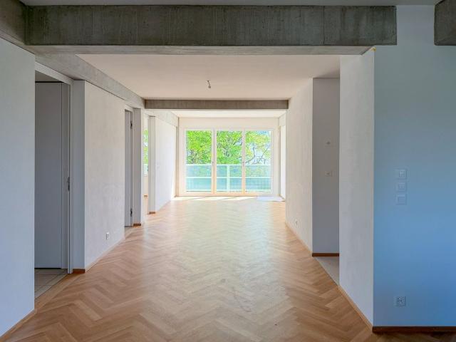 Apartment mieten in Einigen, Zürich