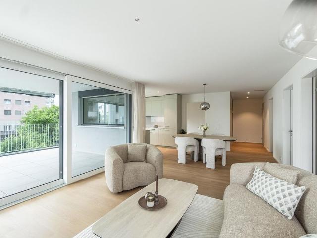 Apartment mieten in Reinach (AG), Aargau
