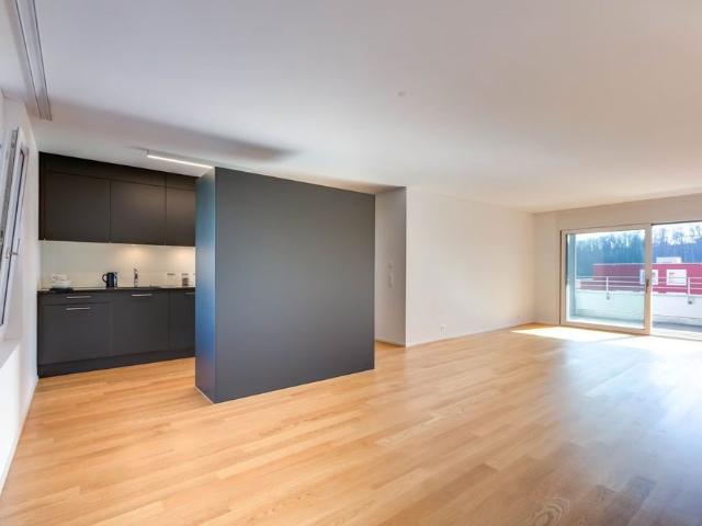 Apartment mieten in Döttingen, Bezirk Zurzach