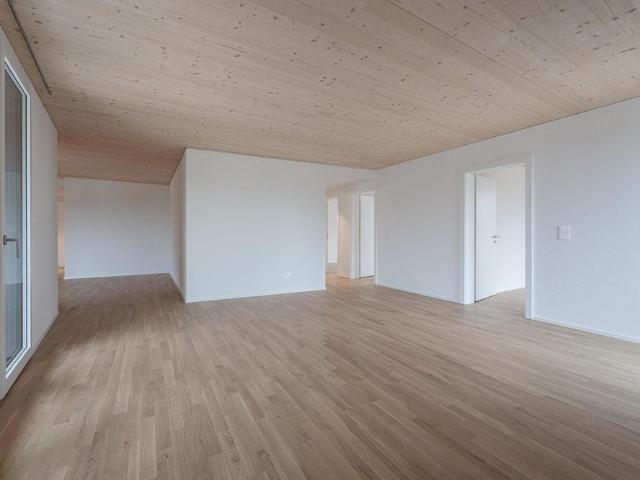 Apartment mieten in Uster, Zürich
