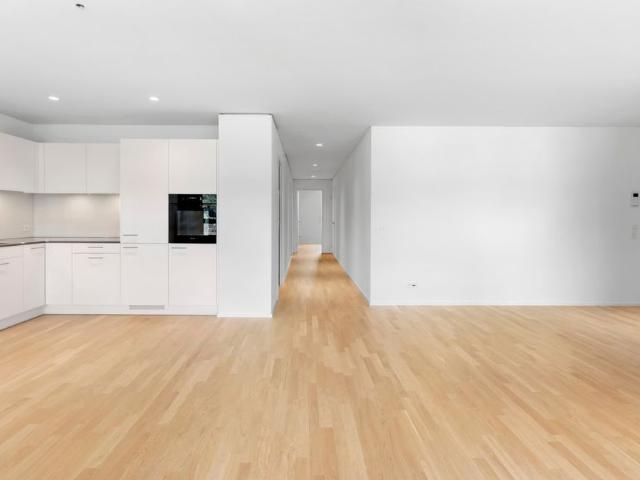 Apartment mieten in Shopping-Center, Spreitenbach