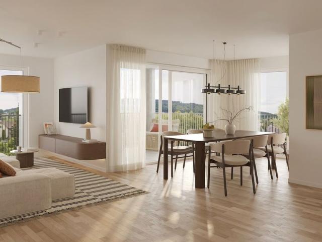 Apartment mieten in Menziken, Aargau