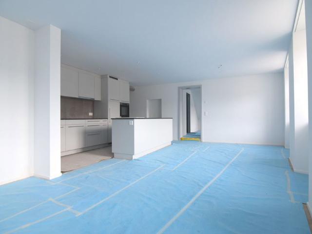 Apartment mieten in Stein am Rhein, Schaffhausen