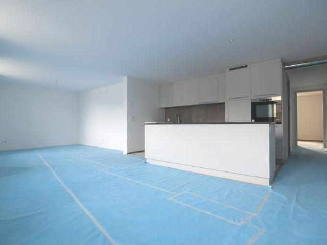 Apartment mieten in Stein am Rhein, Schaffhausen