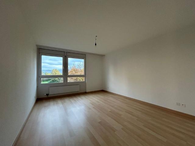 Apartment mieten in Kaiseraugst, Aargau